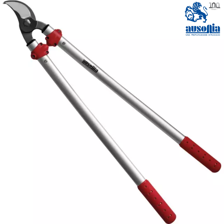 COUPE BRANCHES PRO 60 CM AUSONIA - Greendis