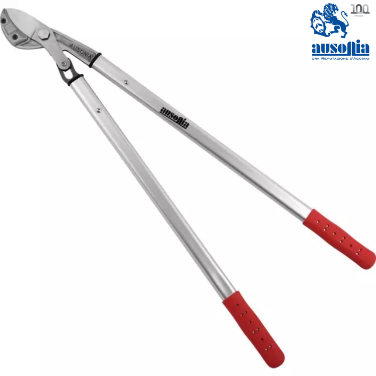 COUPE BRANCHES PRO ENCLUME COURBEE 80 CM AUSONIA - Greendis