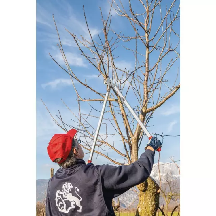 COUPE BRANCHES PRO ENCLUME COURBEE 80 CM AUSONIA - Greendis