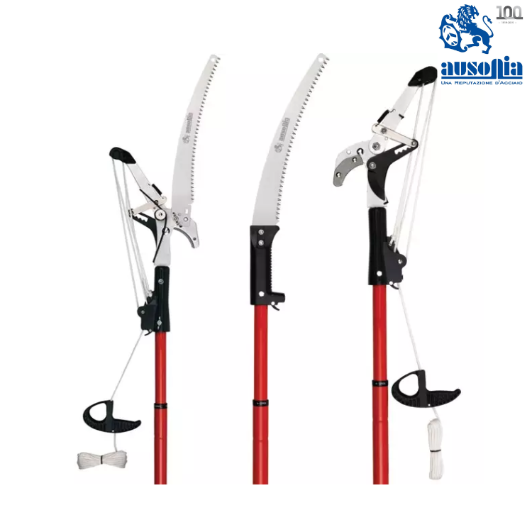 ECHENILLOIR COMPLET PRO LAME 35 CM MANCHE 3 METRES AUSONIA - Greendis