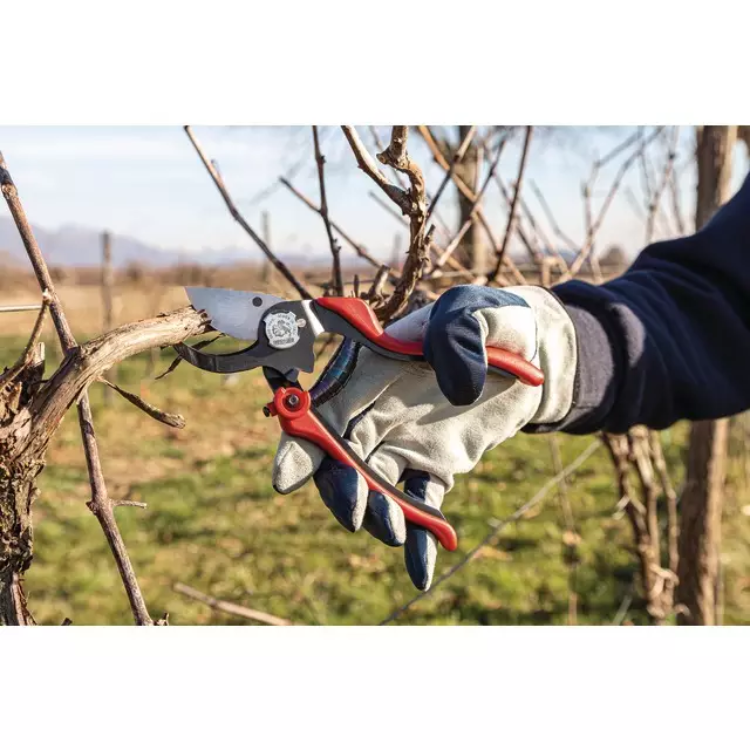 SECATEUR PRO EVO 2 AUSONIA - Greendis