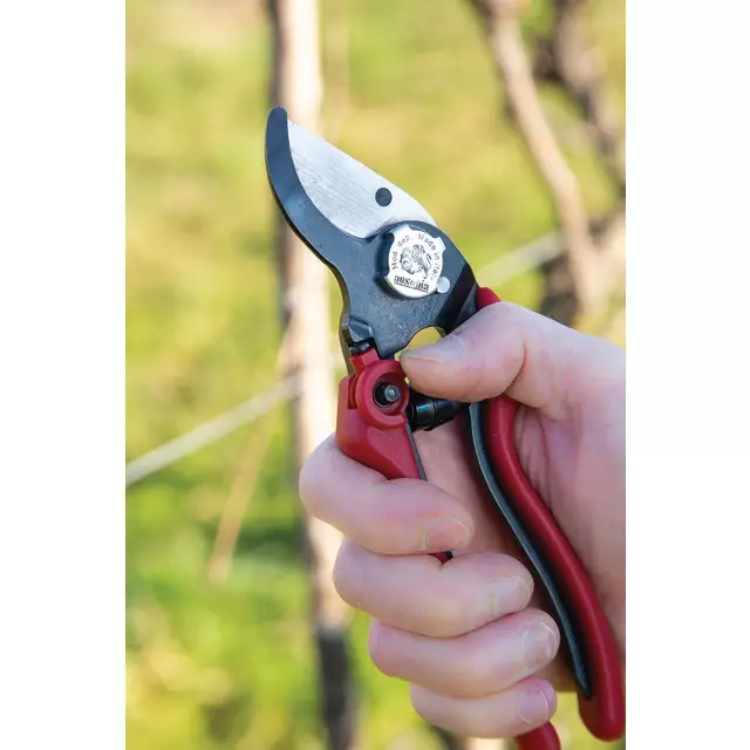 SECATEUR PRO EVO 2 AUSONIA - Greendis