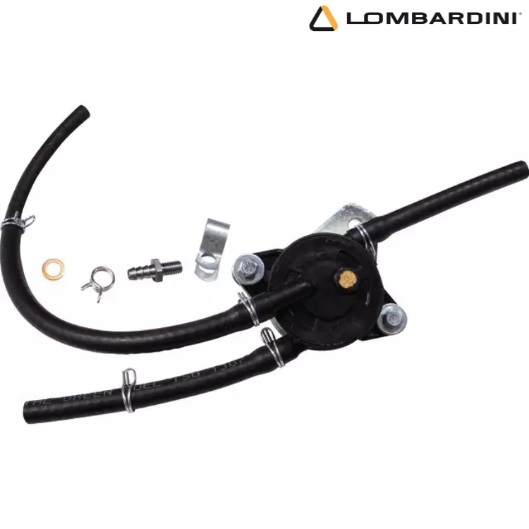 POMPE A ESSENCE IM359 ORIGINE LOMBARDINI 4896427
