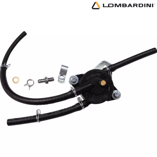 POMPE A ESSENCE IM359 ORIGINE LOMBARDINI 4896427