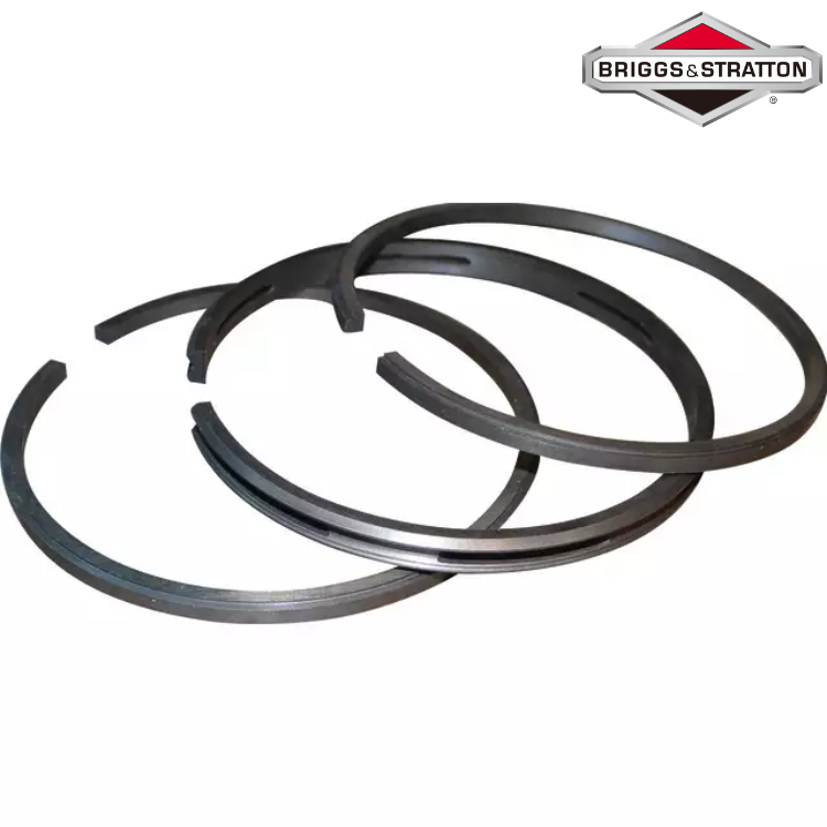 SEGMENTS ORIGINE BRIGGS & STRATTON LE JEU 499996