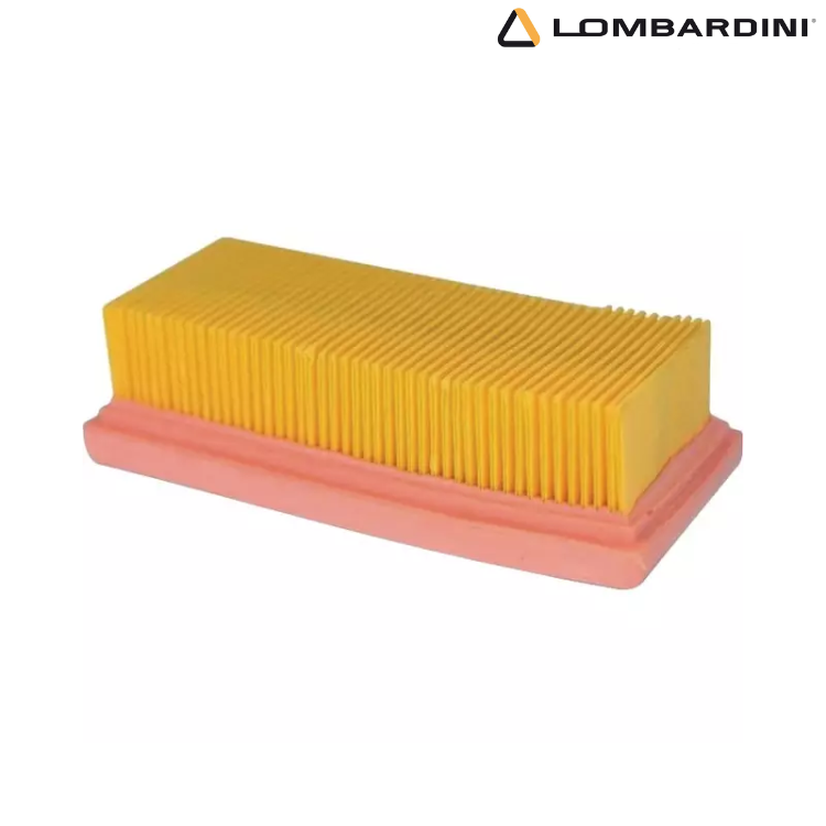 FILTRE A AIR MOTEUR LGA226 LOMBARDINI 2175251