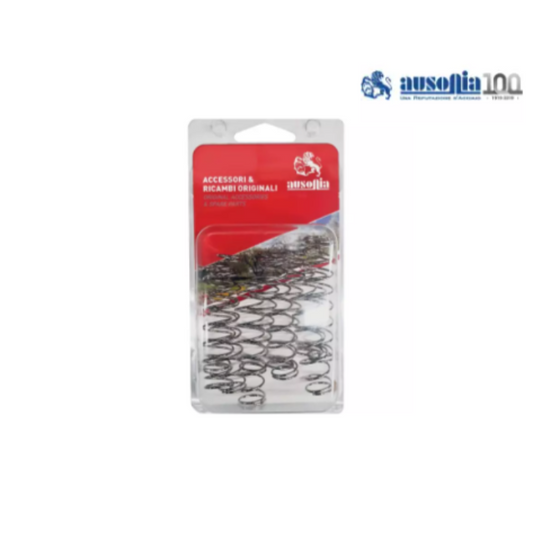 KIT 10 RESSORTS POUR SECATEUR EASY LOCK AUSONIA - Greendis