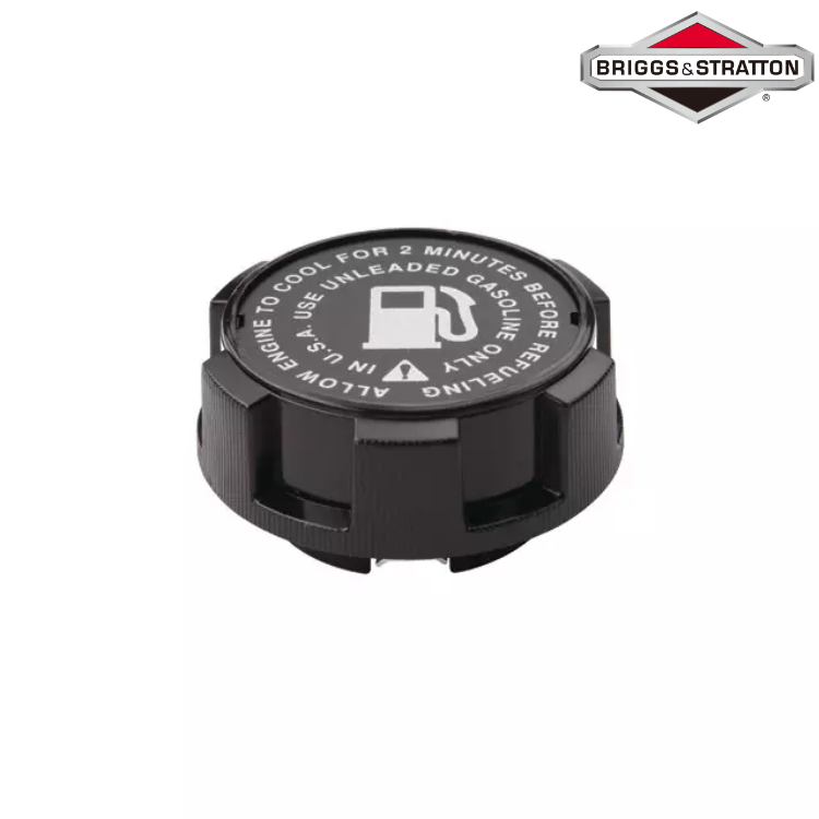 BOUCHON ORIGINE BRIGGS & STRATTON 494559