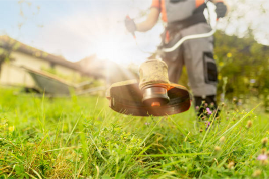Comment bien choisir son fil de débroussailleuse ? 10 conseils pour les pros du paysage 🌿💪