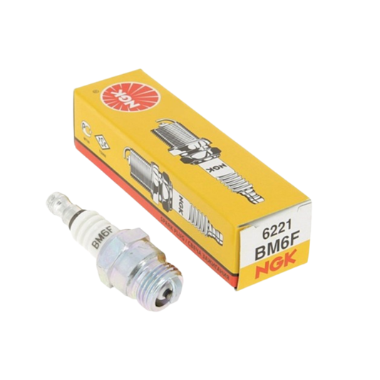 Bougie d'allumage NGK BM6F