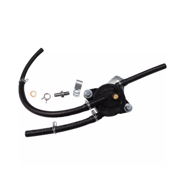Pompe à essence origine LOMBARDINI 4896427 pour moteur IM359