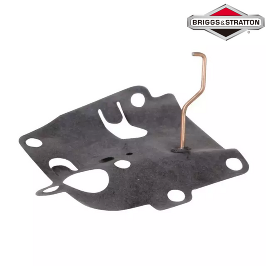 MEMBRANE ORIGINE BRIGGS & STRATTON 391681