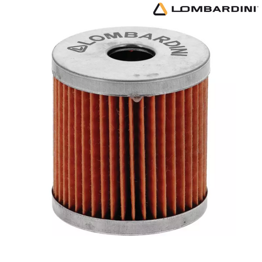 FILTRE A GASOIL MOTEUR LDA904 LDA940 LOMBARDINI 2175009