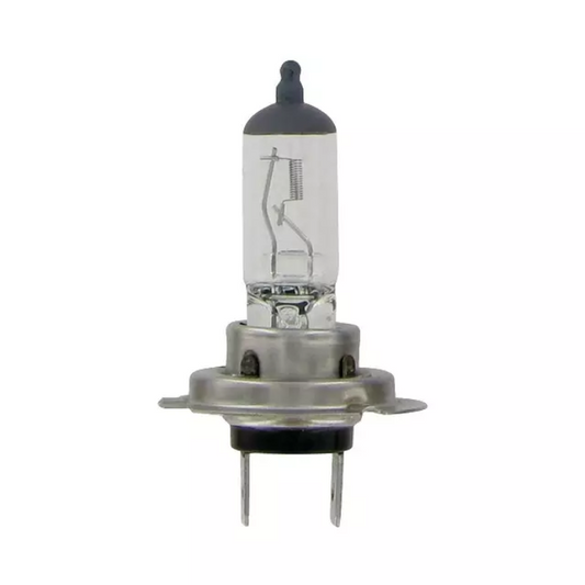 AMPOULE H7 12V 55W