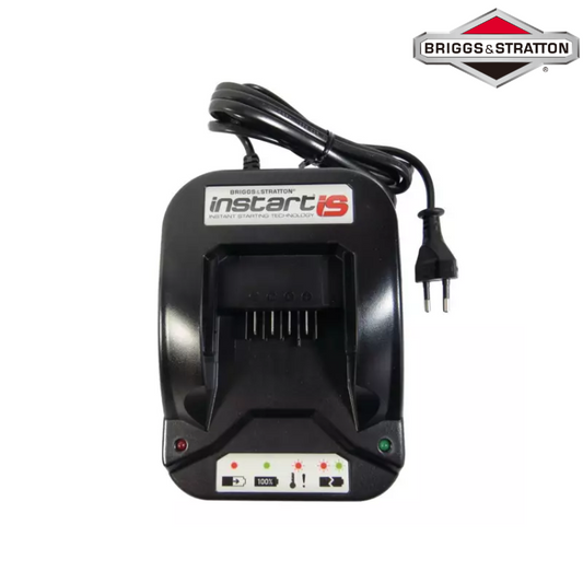 CHARGEUR POUR BATTERIE BRIGGS & STRATTON 593562