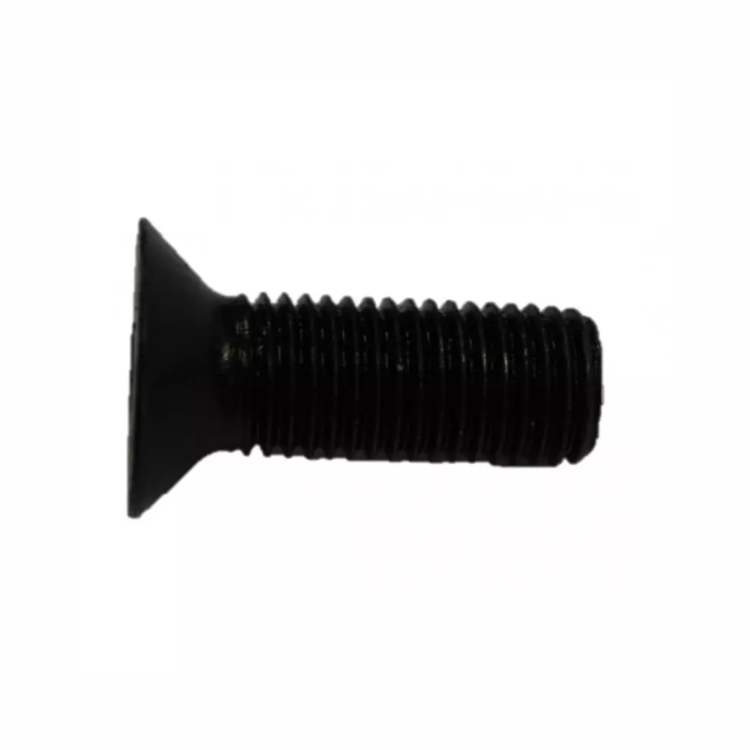 Vis de lame M20 x55 tête fraisée origine Del Morino pour gyrobroyeur DMK