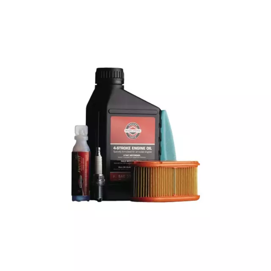 KIT entretien DOV origine Briggs & Stratton 992203, pièce d'origine Briggs & Stratton vendue par Greendis.