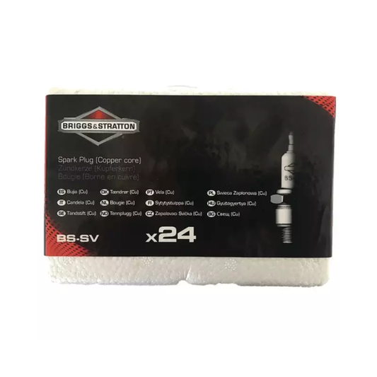 Pack atelier 24 bougies BS-SV Briggs & Stratton 992301C, pièce d'origine Briggs & Stratton vendue par Greendis.