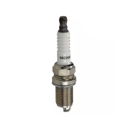 Bougie Briggs & Stratton (RC14YC) 992306, pièce d'origine Briggs & Stratton vendue par Greendis.