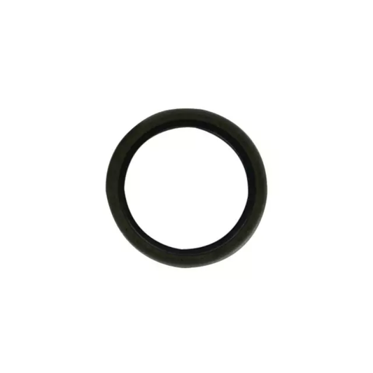 Joint spi cote volant origine Briggs & Stratton 299819S, pièce d'origine Briggs & Stratton vendue par Greendis.