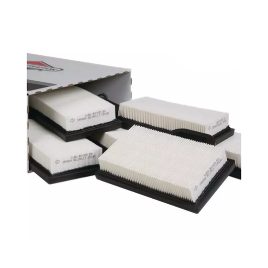 Pack atelier 6 x filtre air 499486S origine B&S 4223, pièce d'origine Briggs & Stratton vendue par Greendis.