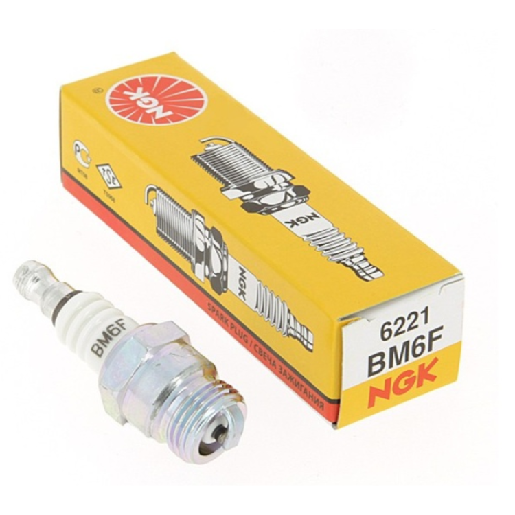 Bougie type BM6F NGK - Greendis