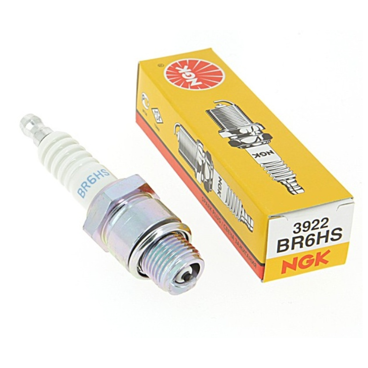 Bougie type BR6HS NGK - Greendis