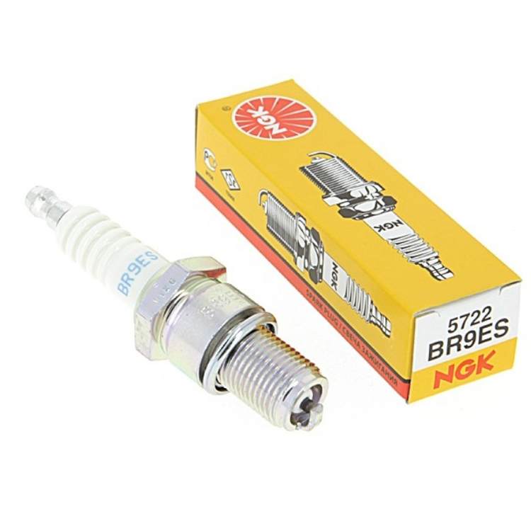 Bougie type BR9ES NGK - Greendis